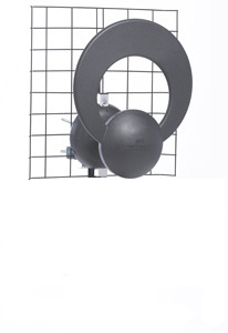 C_1