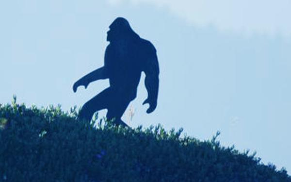 Results image of big foot silhouette in field