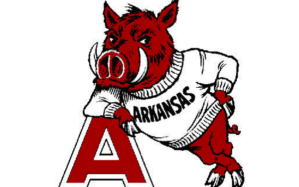 Results image of mascot for Razorbacks