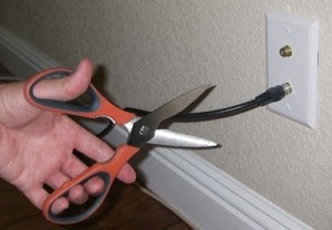 Results image of cutting a cable cord