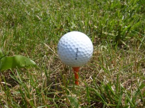 Results image of golfball and tee