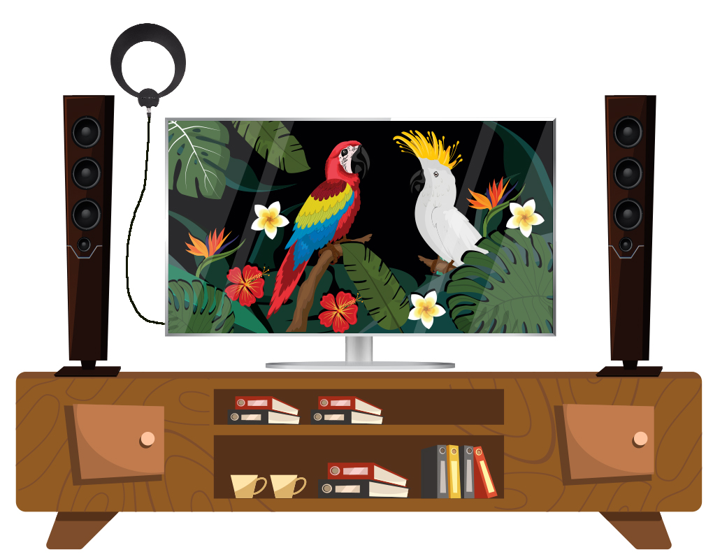 Results image of TV with birds and ECLIPSE antenna cartoon