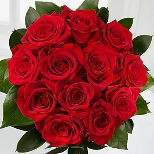 Results image of dozen red roses