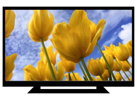 Results image of TV with flowers on screen