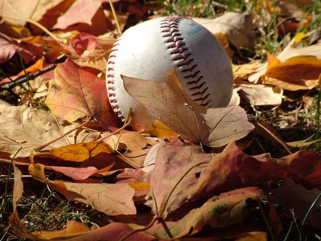 Results image of baseball in leaves