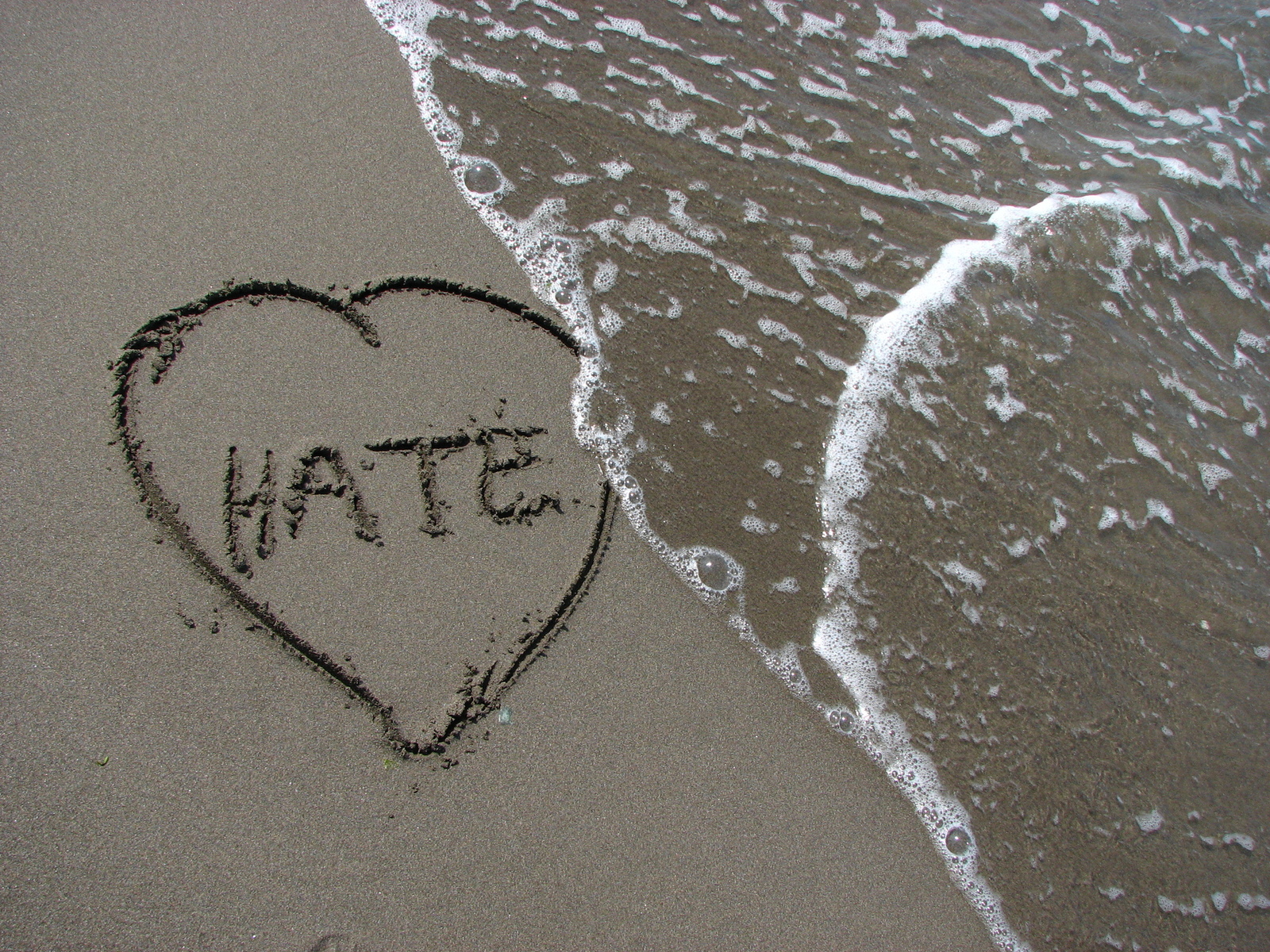 Results image of Hate in sand